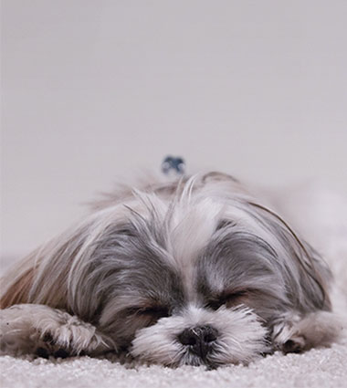 如何度過適應(yīng)期？