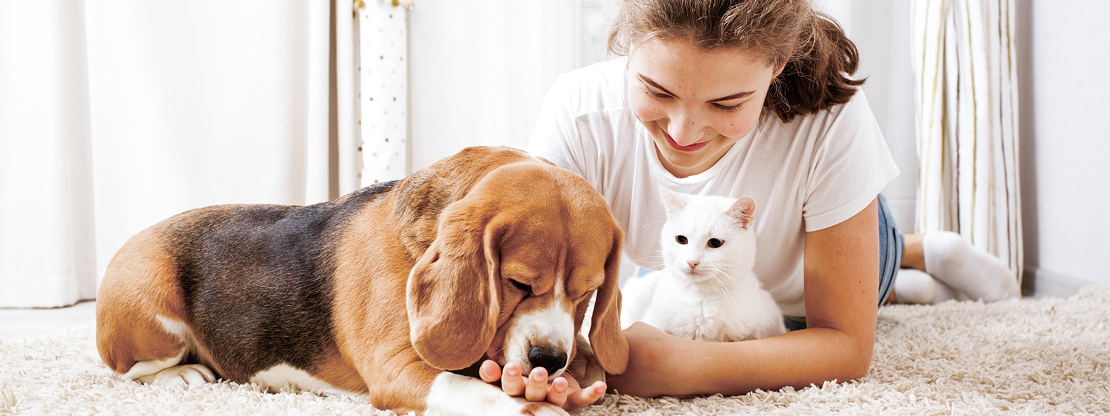 我們，是連接您與寵物之間的橋梁