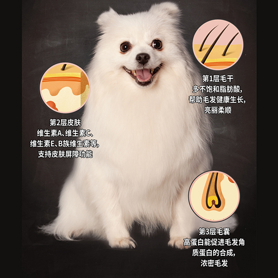 比瑞吉無谷六種肉全價犬糧（全期）